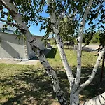 Airport Golubovci פודגוריצה