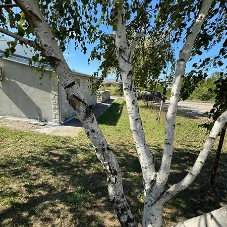 Airport Golubovci * Podgorica