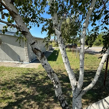 Airport Golubovci פודגוריצה