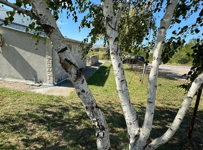 Airport Golubovci * Podgorica