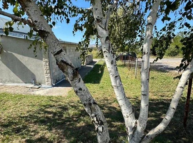 Airport Golubovci Podgorica